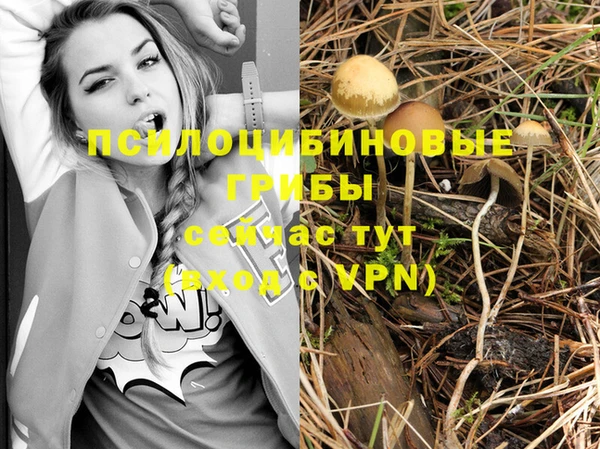 герыч Алексеевка