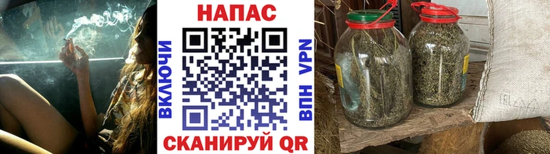 Шишки марихуана Amnesia  Майский 